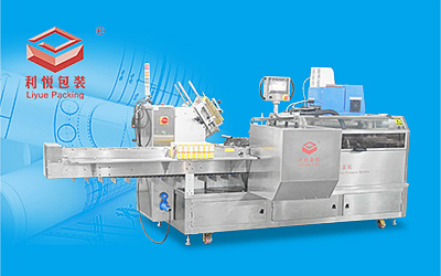 LY300-2 Box packing machine for Building blocks