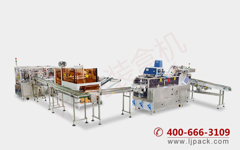 LY550F AUTOMATIC CARTONING AND CASE SEALING PRODUCTION LINE