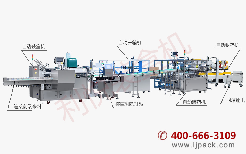 LY550WQ CARTONING AND CASE PACKING PRODUCTION LINE 